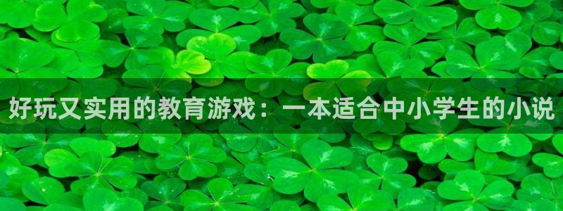 鼎点娱乐平台注册资金多少：好玩又实用的教育游戏：一本适合中小