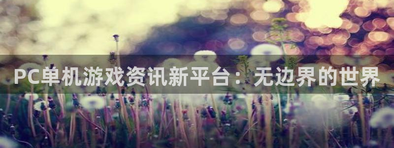 鼎点娱乐平台登陆：PC单机游戏资讯新平台：无边界的世界