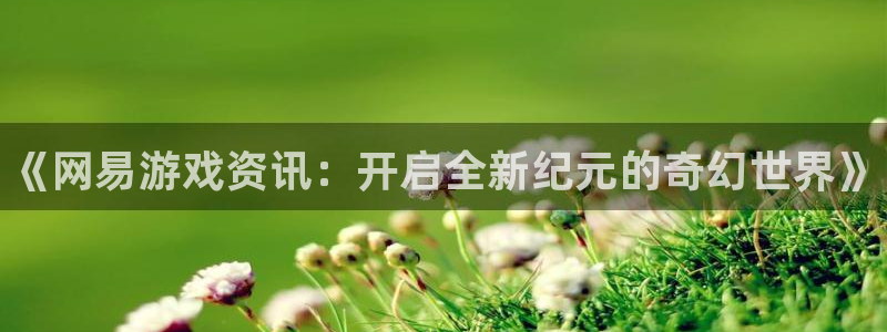 鼎点娱乐平台注册资金多少：《网易游戏资讯：开启全新纪元的奇幻