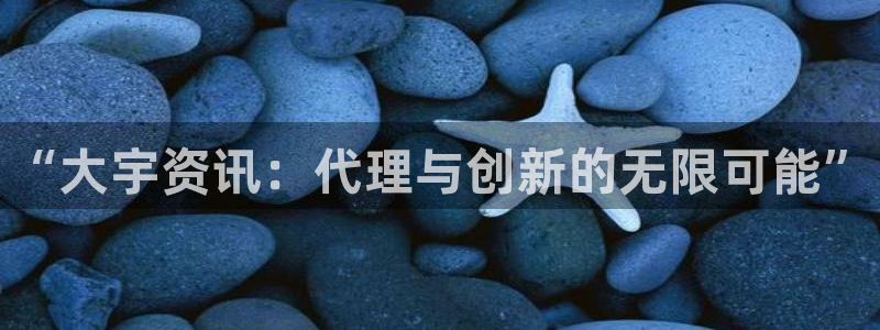 鼎点娱乐注册：“大宇资讯：代理与创新的无限可能”