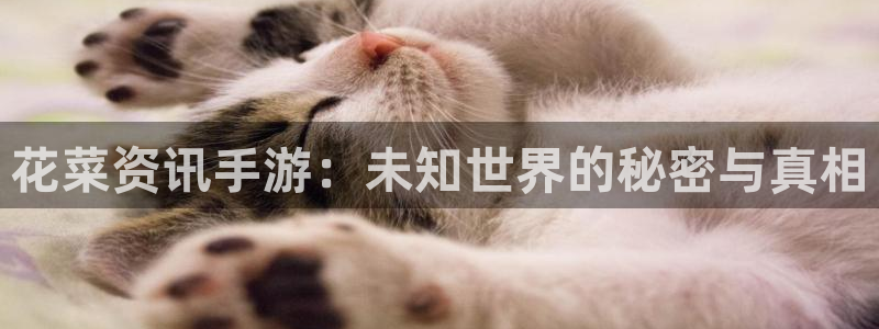 鼎点娱乐下载链接：花菜资讯手游：未知世界的秘密与真相