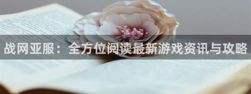 鼎点娱乐注册登录平台：战网亚服：全方位阅读最新游戏资讯与攻略