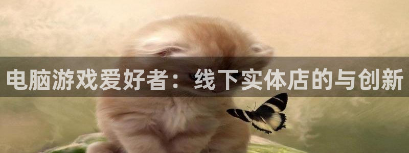 鼎点娱乐注册网站：电脑游戏爱好者：线下实体店的与创新
