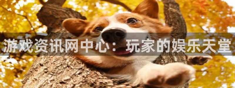 鼎点娱乐平台登录入口：游戏资讯网中心：玩家的娱乐天堂