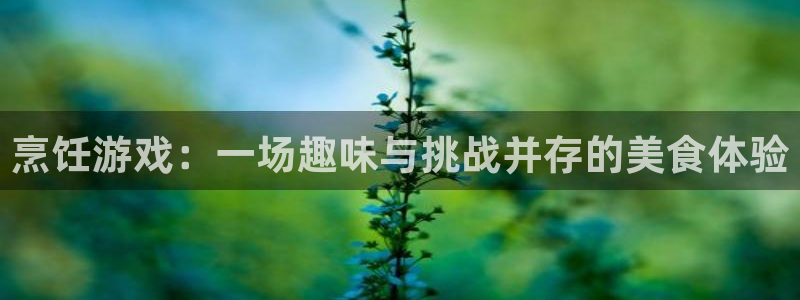 鼎点娱乐app下载地址：烹饪游戏：一场趣味与挑战并存的美食体