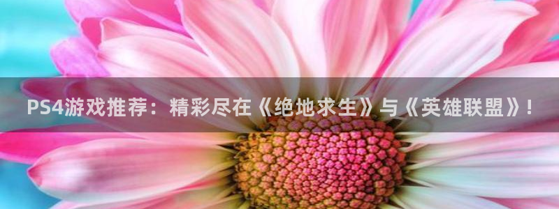 鼎点娱乐平台官网注册：PS4游戏推荐：精彩尽在《绝地求生》与